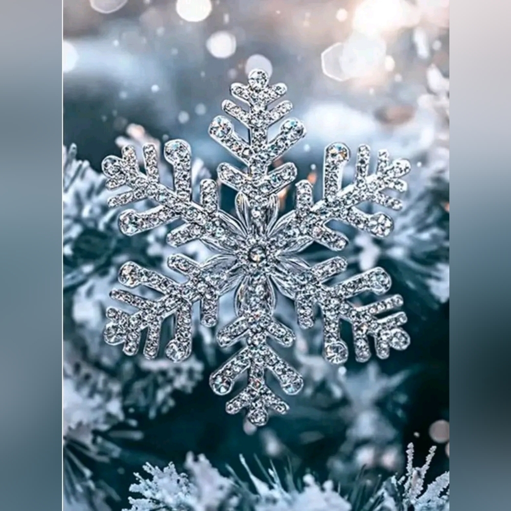 ❄️Winter Sale ❄️ Mystery Item  11/30/25-3/14/26
